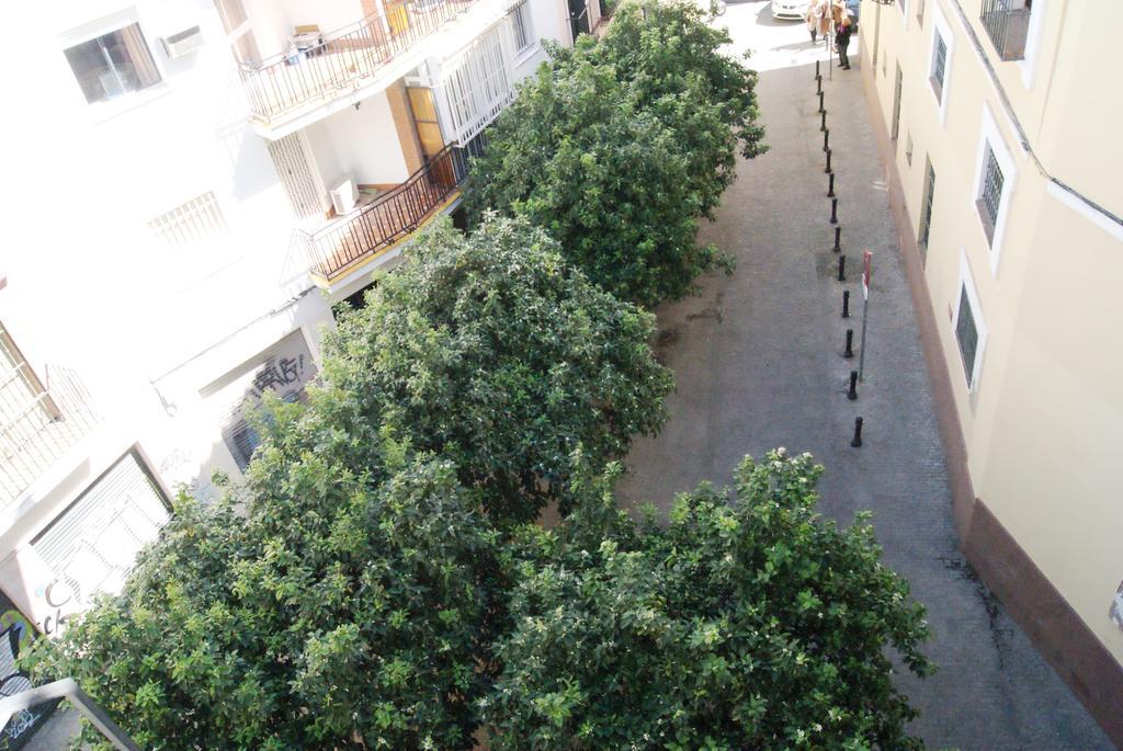 סביליה Apartamentos Turisticos La Encarnacion מראה חיצוני תמונה